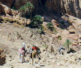 Wadi Wischwaschi