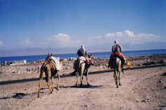 Zur�ck an der Strasse